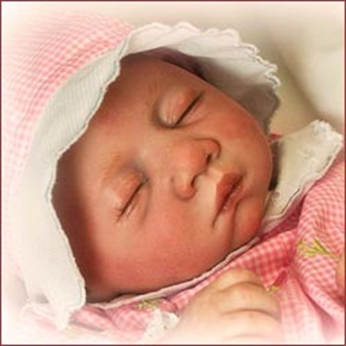 erin reborn kit